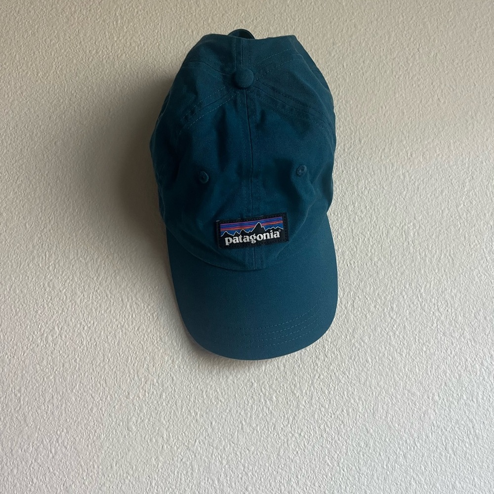 Patagonia Cap